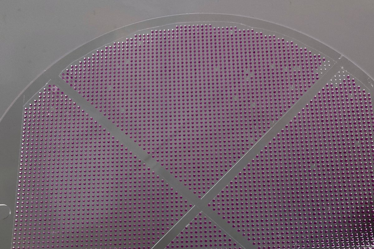 Substrato circolare con migliaia di micro-fori realizzati al laser